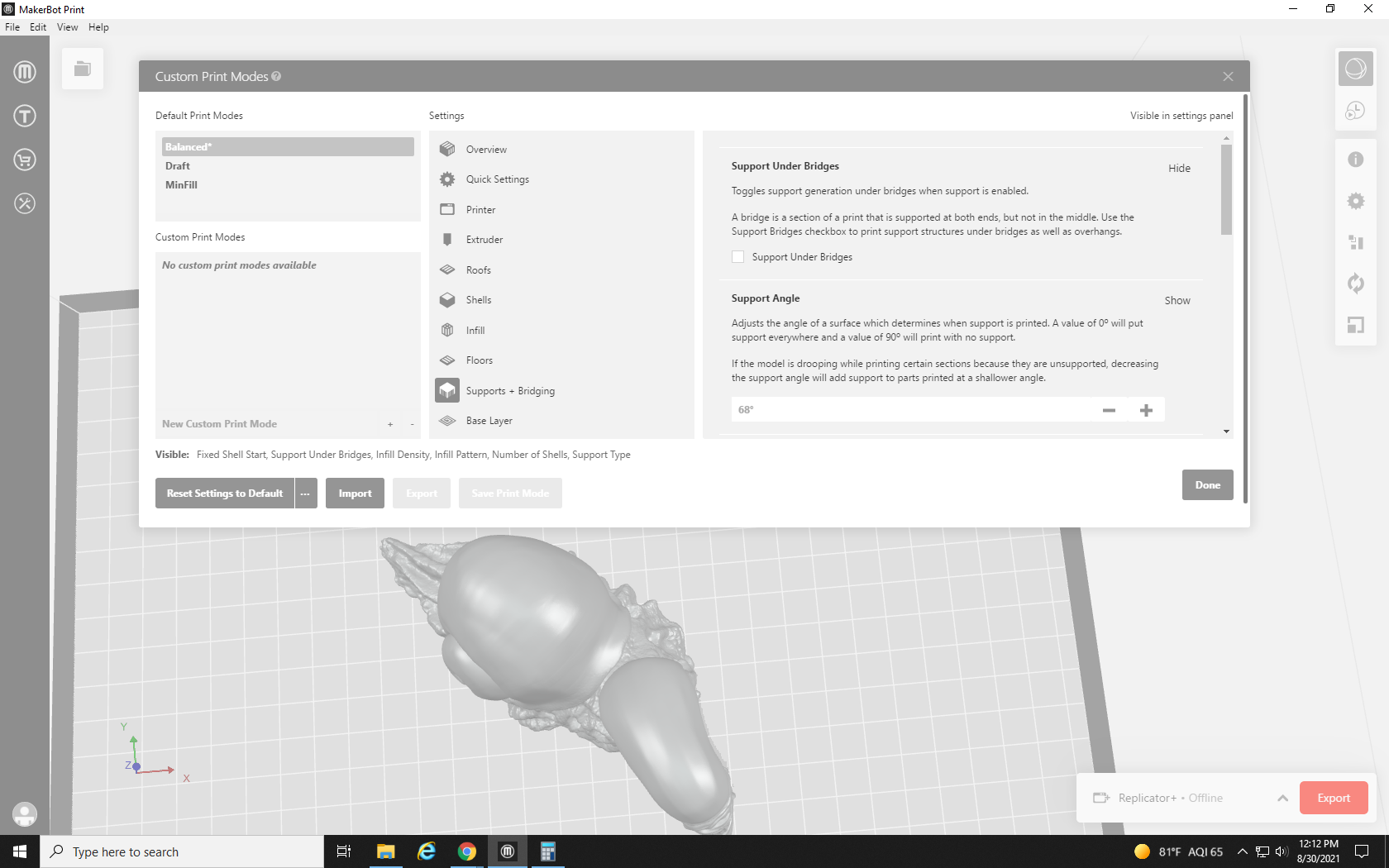 screenshot of print supports and bridging options in MakerBot Print