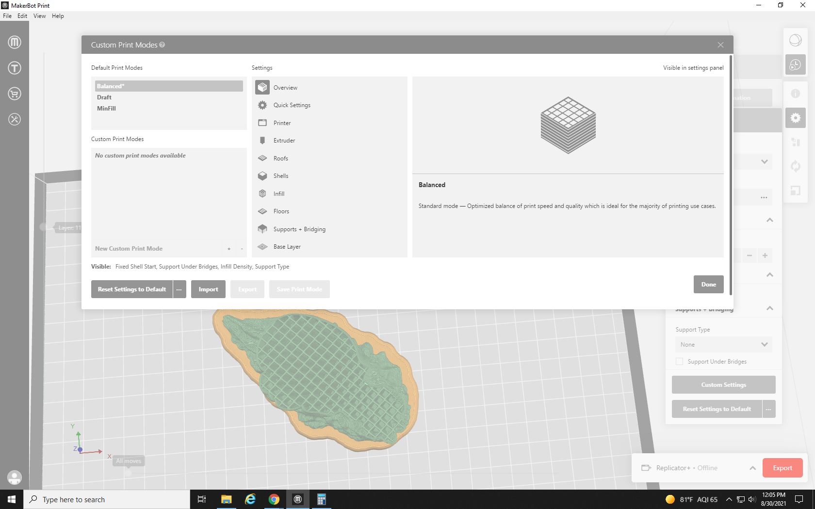 screenshot of the MakerBot Print custom print settings menu